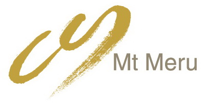 Mt Meru Pte Ltd Logo